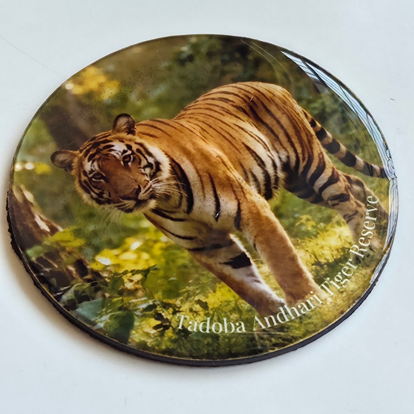 Wild Haven Fridge Magnets | Tadoba Tiger Print