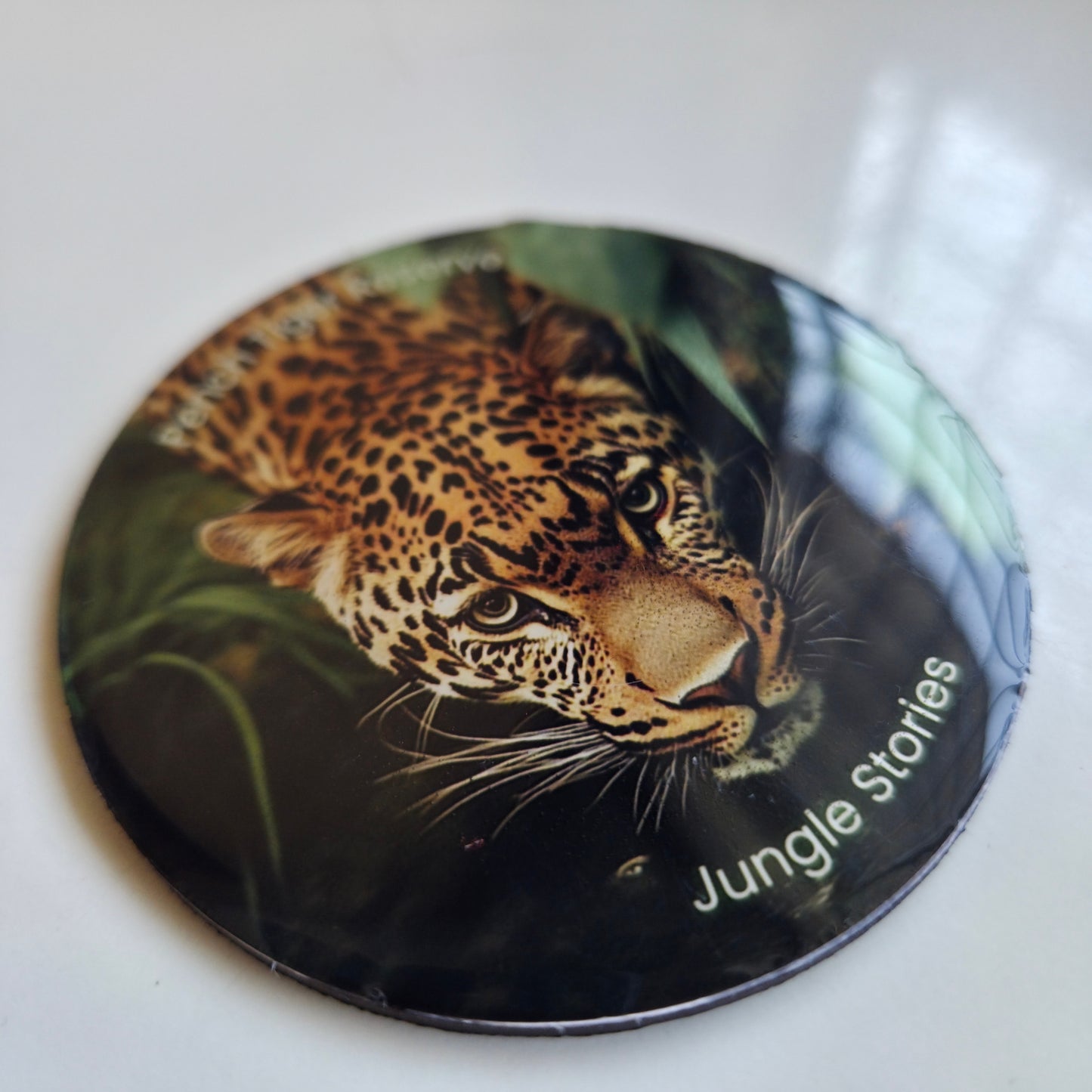 Fridge Magnets I Pench Leopard
