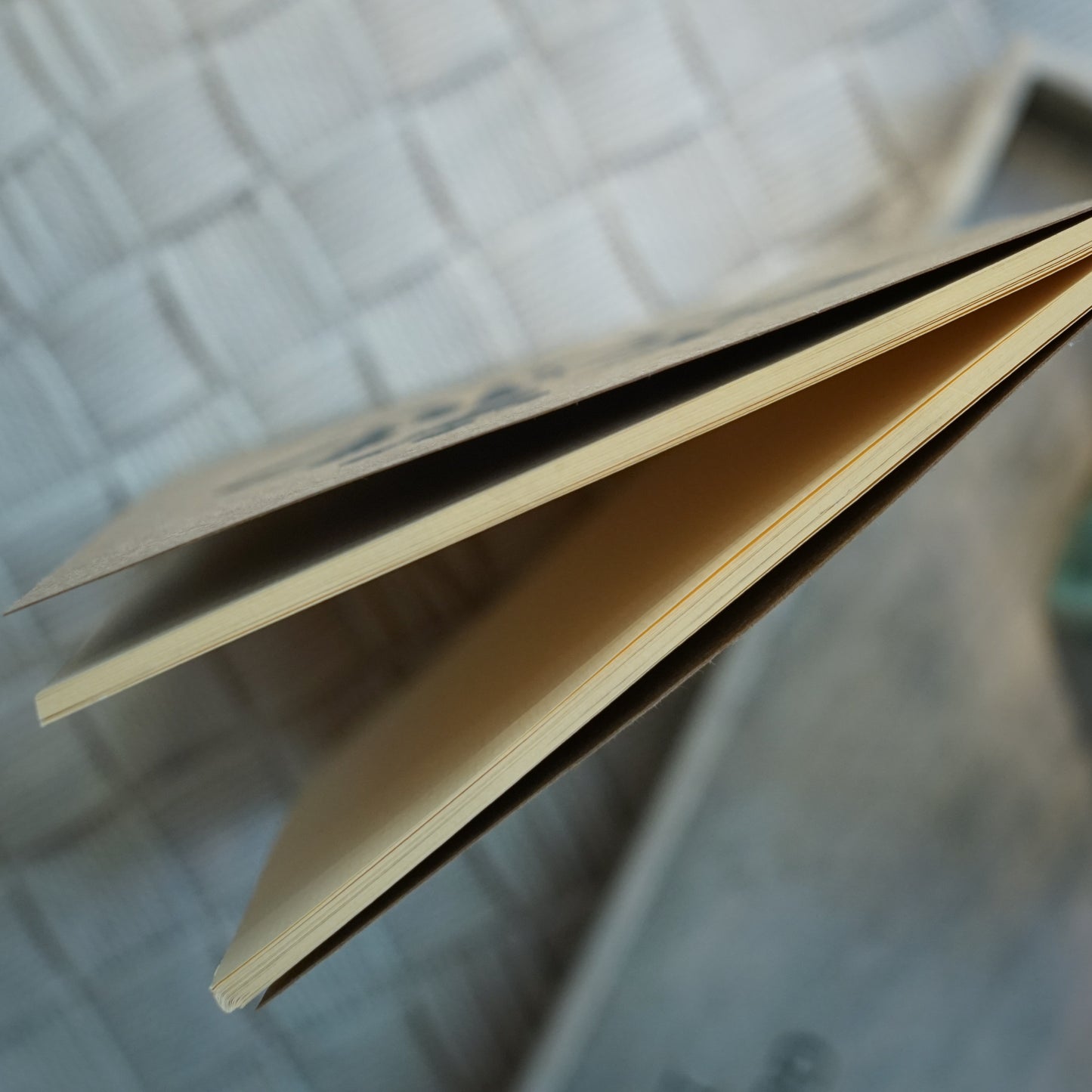 Wanderer's Journal | Be Wild