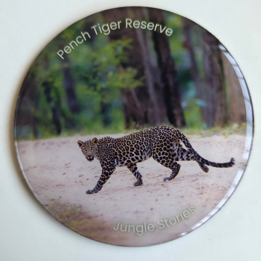 Fridge Magnets I Pench Leopard 2