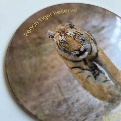 Fridge Magnets I Pench Tiger
