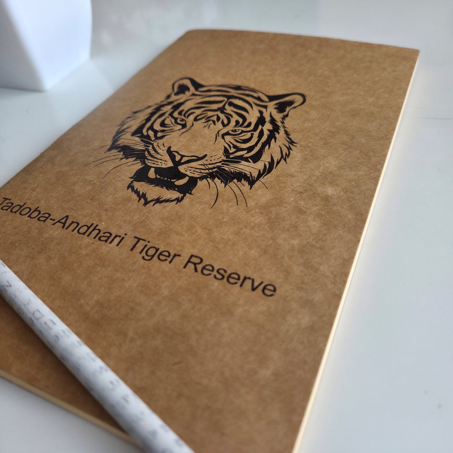 Wanderer's Journal I Tadoba Tiger