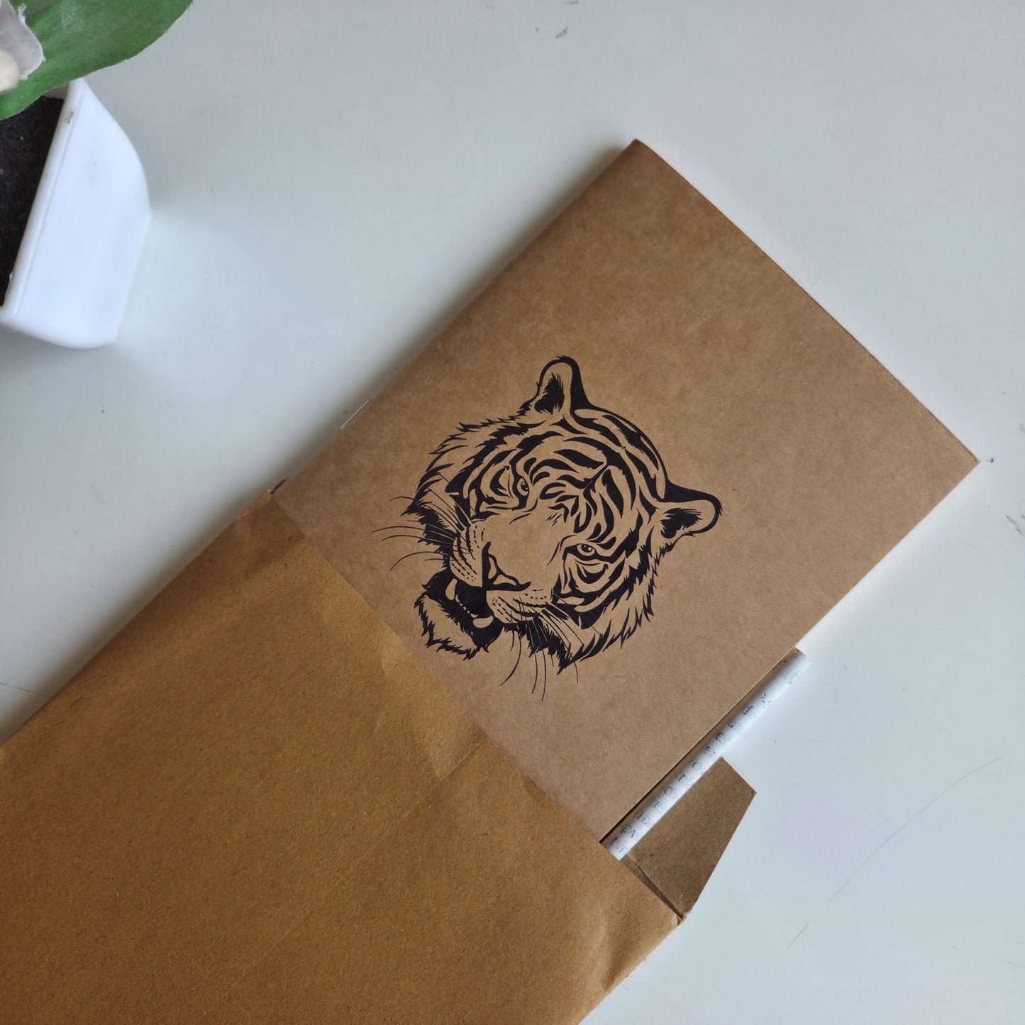 Wanderer's Journal I Tadoba Tiger