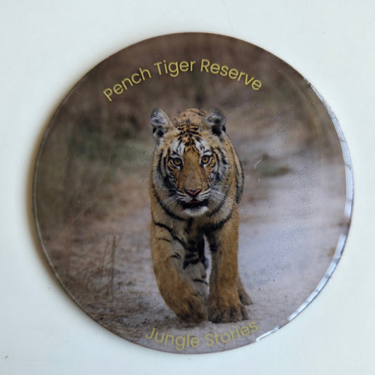 Fridge Magnets I Pench Tiger