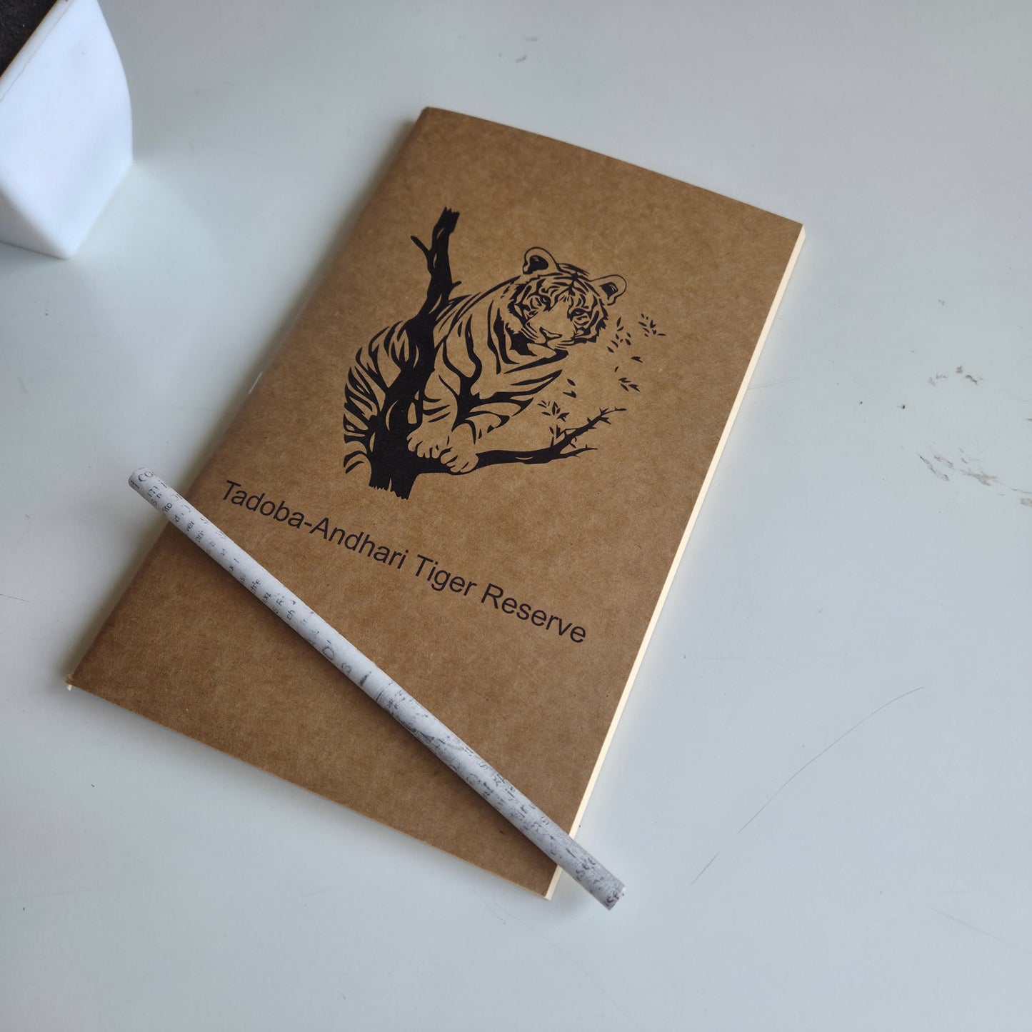 Wanderer's Journal I Tadoba Tiger 2
