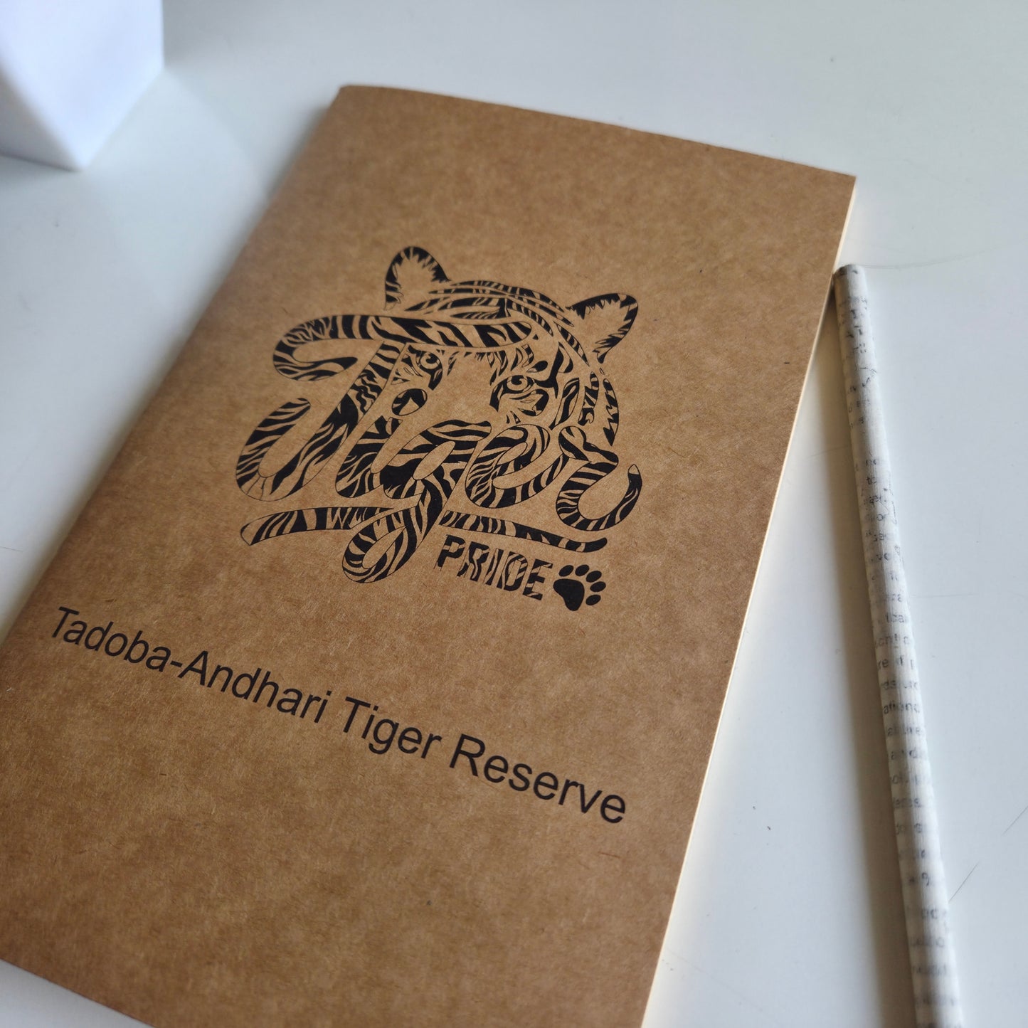 Wanderer's Journal I Tadoba Tiger 3
