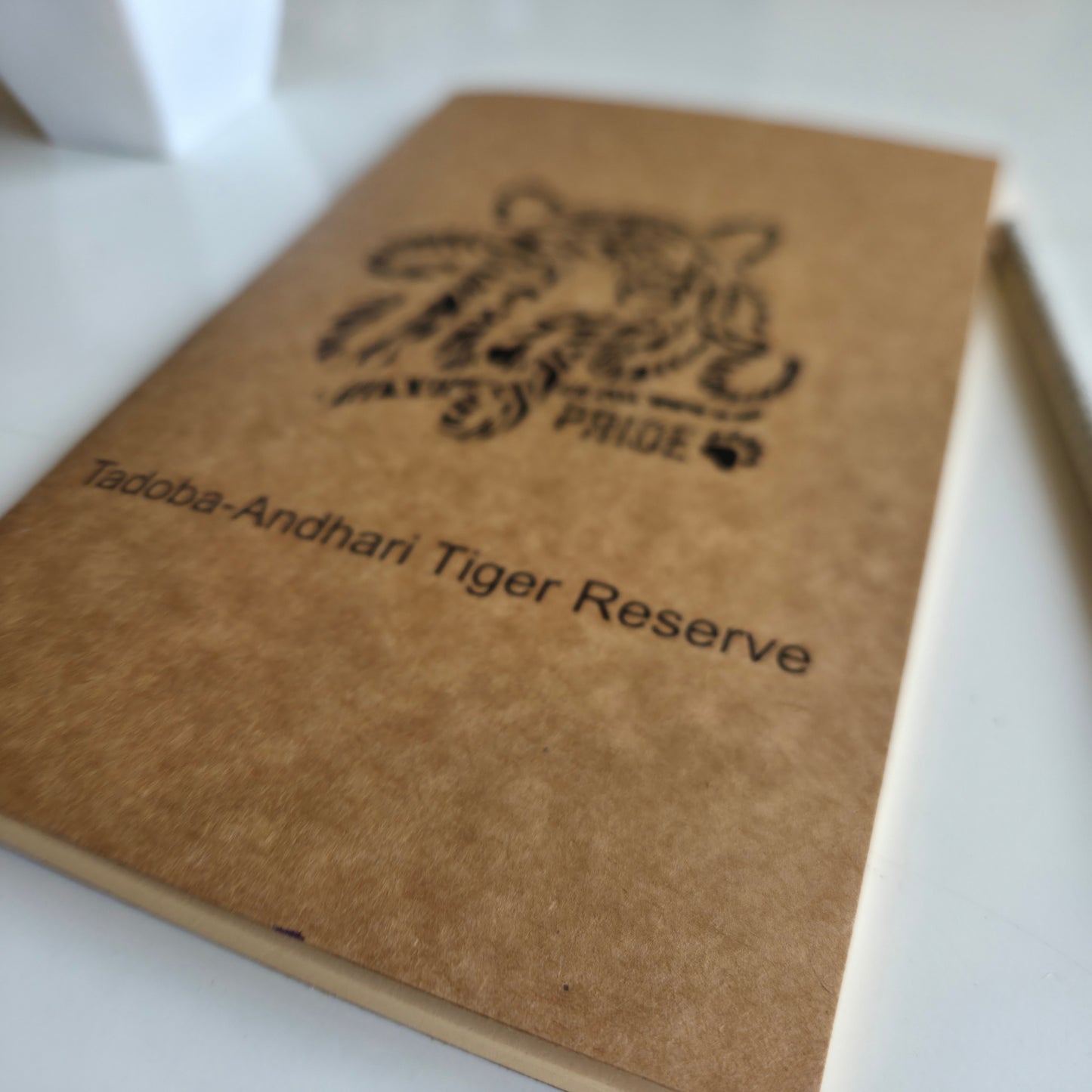 Wanderer's Journal I Tadoba Tiger 3
