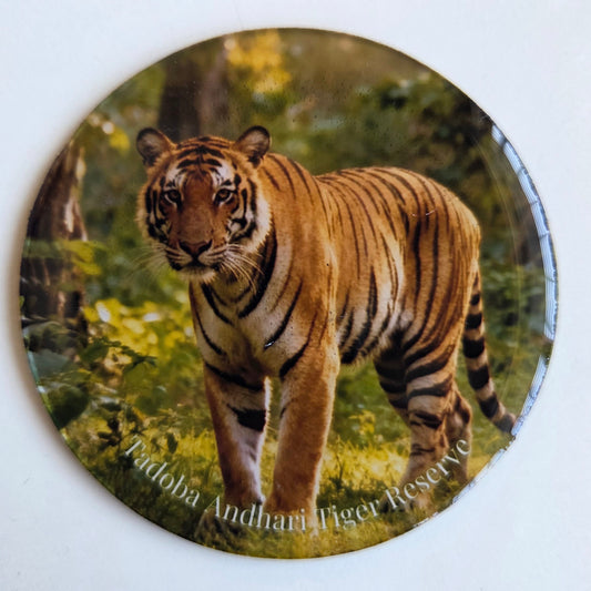 Wild Haven Fridge Magnets | Tadoba Tiger Print