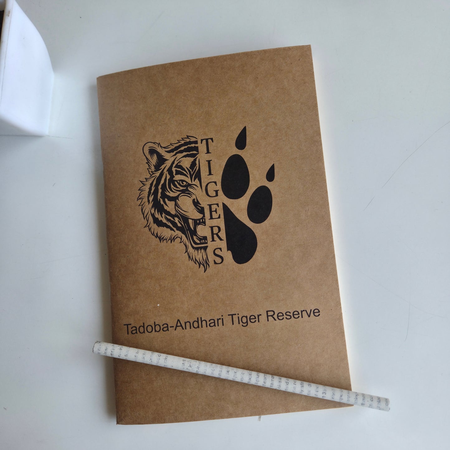 Wanderer's Journal I Tadoba Tiger 4