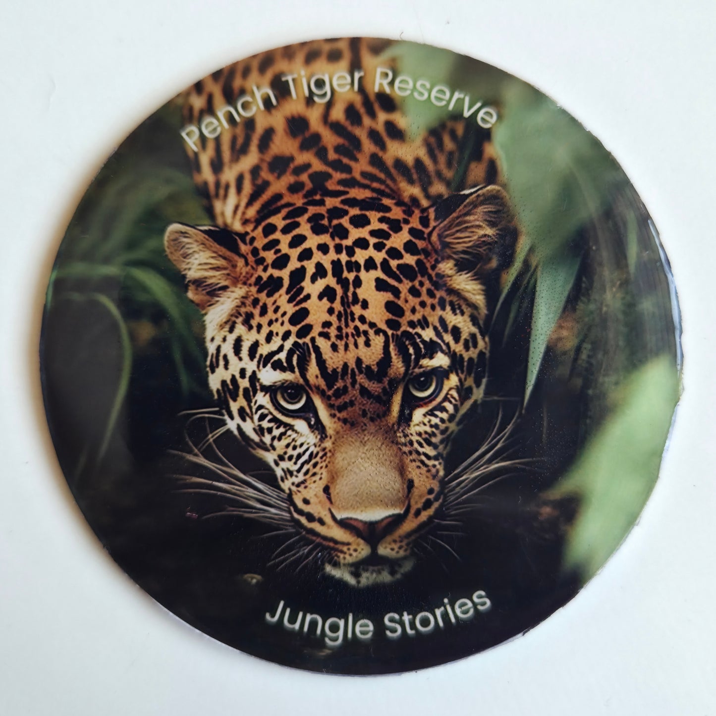 Fridge Magnets I Pench Leopard
