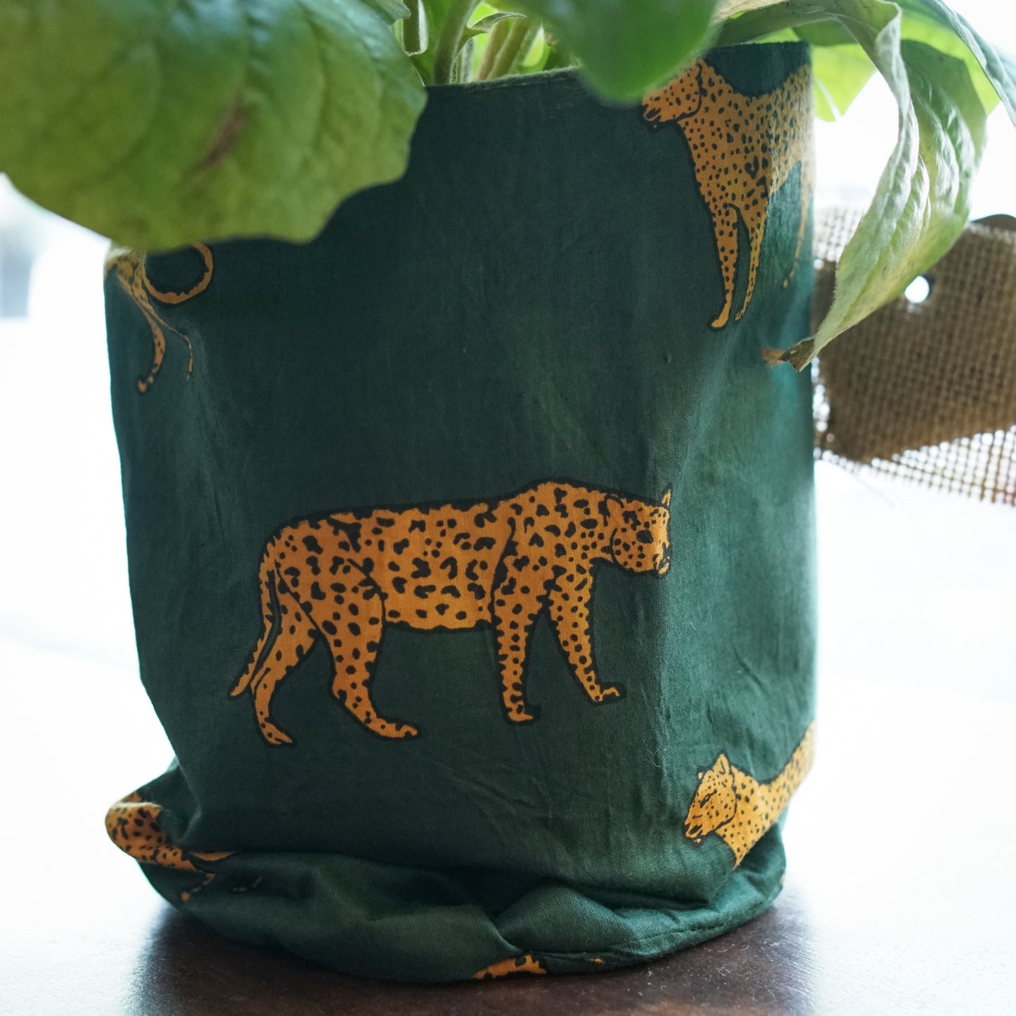 Wild Roots Planters | Canvas & Reversible (Small Size)