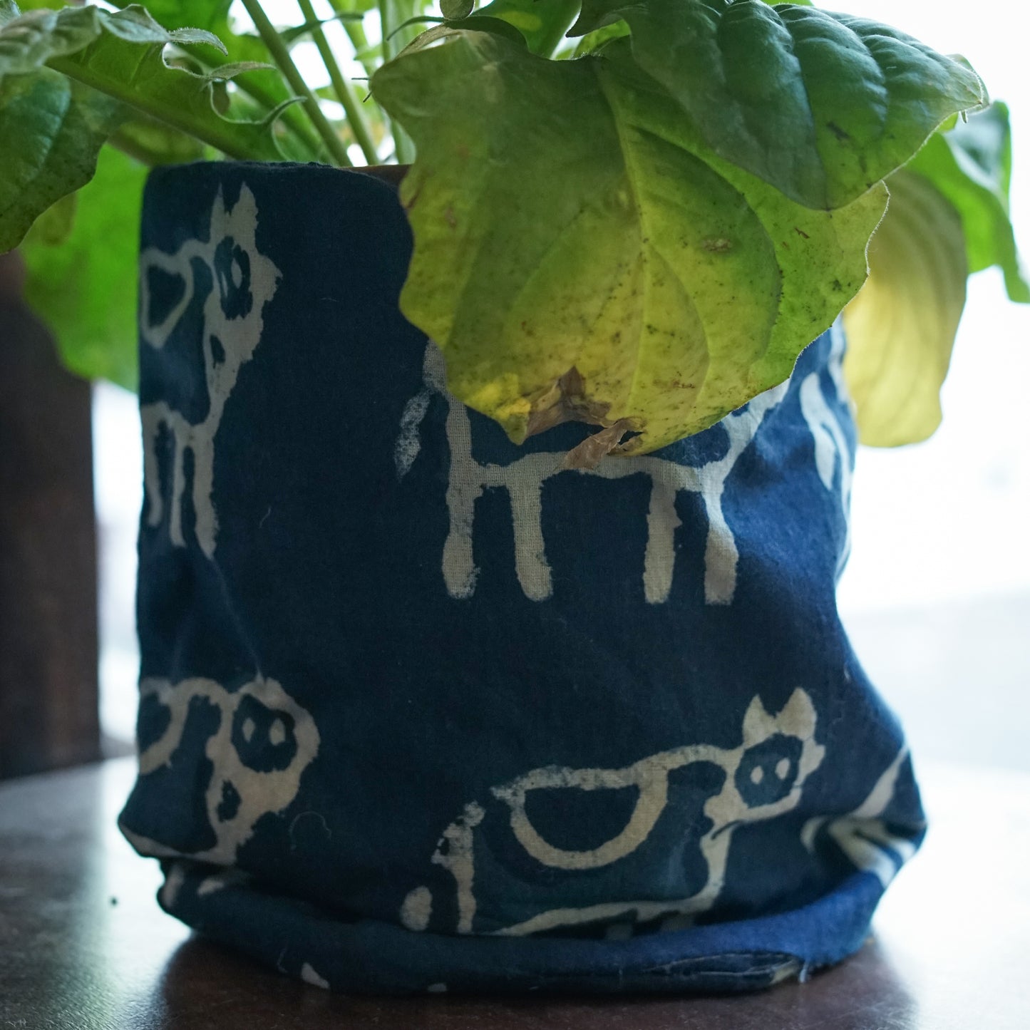 Wild Roots Planters | Canvas & Reversible (Small size)