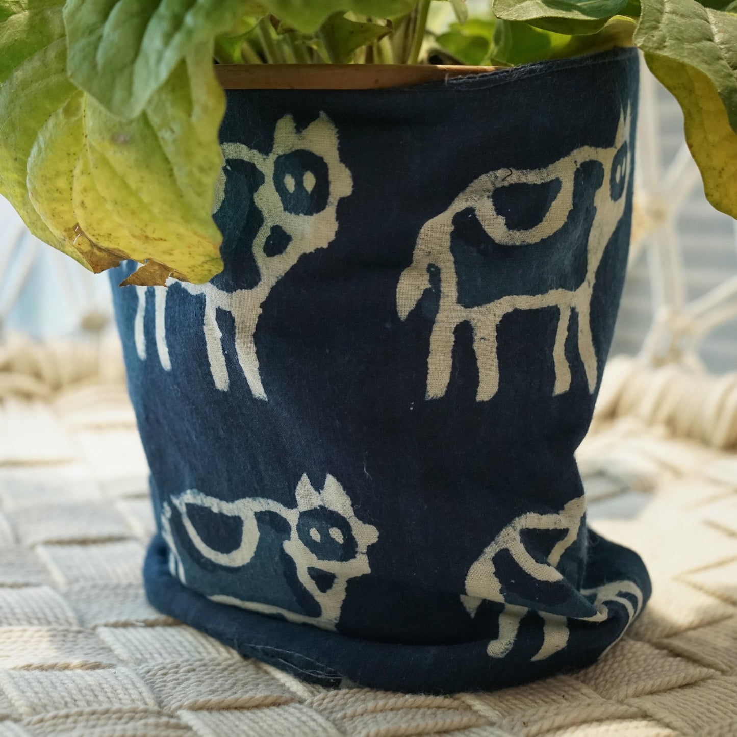 Wild Roots Planters | Canvas & Reversible (Small size)