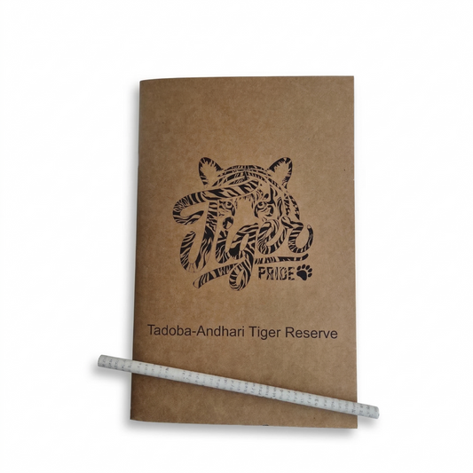 Wanderer's Journal I Tadoba Tiger 3